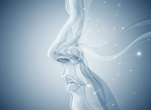 DR. Jurk - Hals-Nasen-Ohren Arzt, Ästhetische Chirurgie in München Nasen OP vorher nachher – medizinisch seriöse Einordnung ohne Patientenbilder