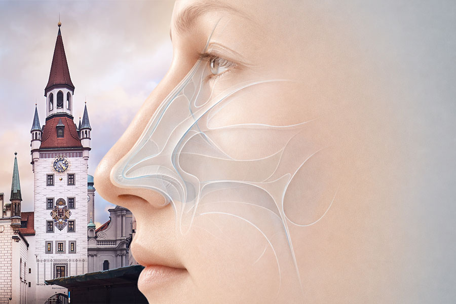 Medizinische Darstellung einer Nase zur Veranschaulichung einer Nasenoperation in M&uuml;nchen mit Fokus auf Funktion und Anatomie